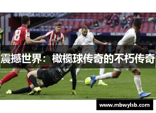 震撼世界：橄榄球传奇的不朽传奇