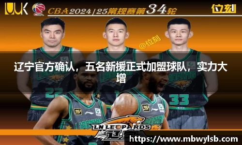 bsports登录入口