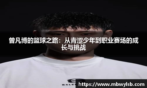 Bsports网页版