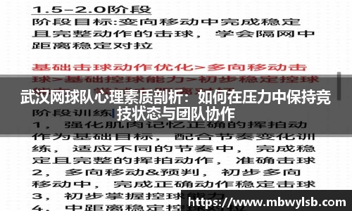 武汉网球队心理素质剖析：如何在压力中保持竞技状态与团队协作